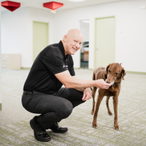 Craft team member feeding their dog and smiling